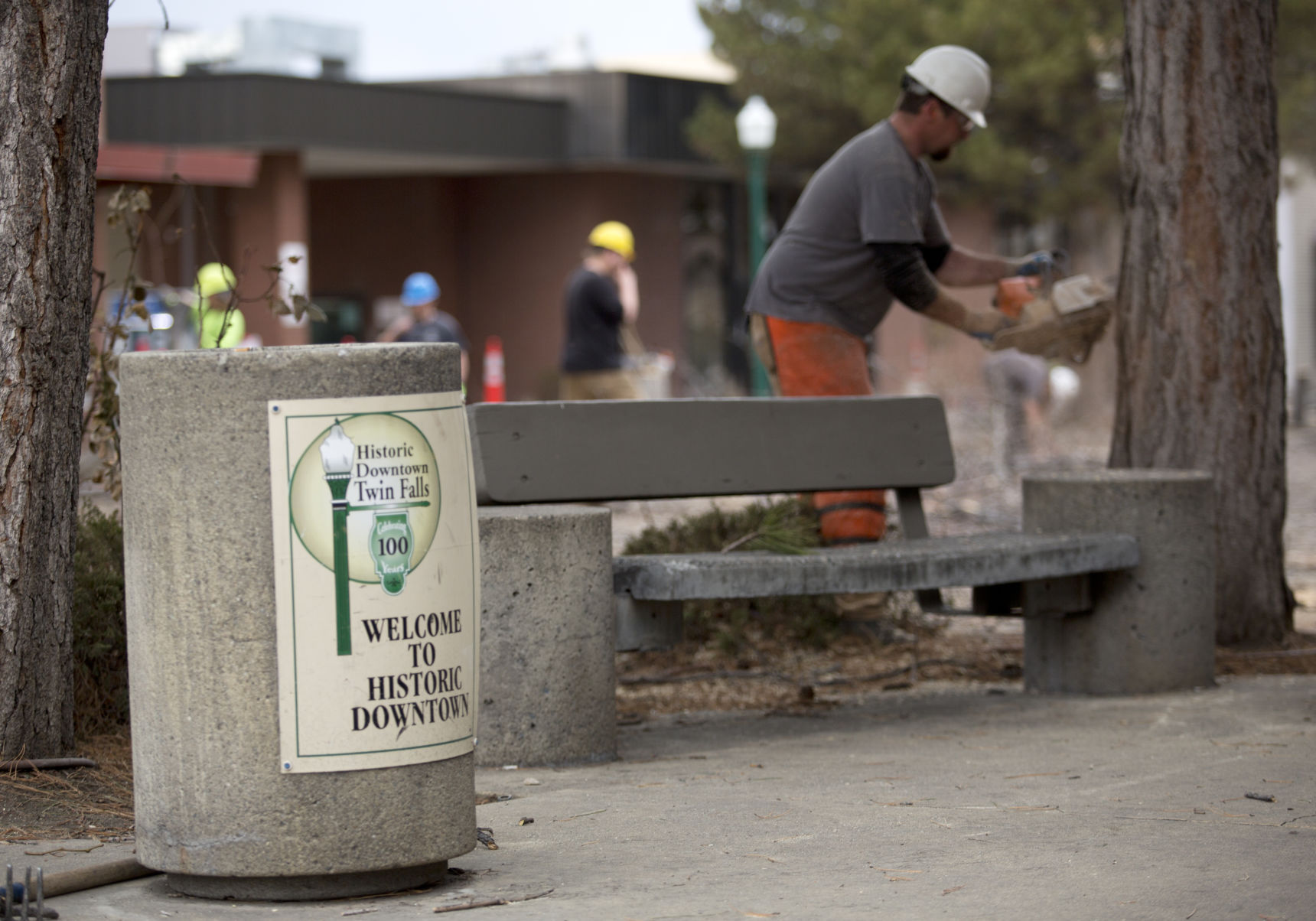 Downtown tree cutting